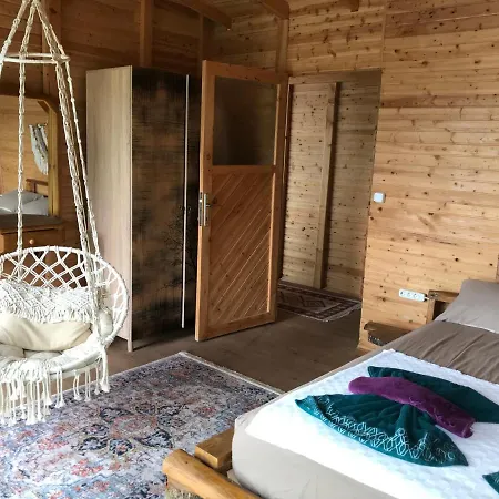 酒店 Kabak Uetopya Kamp