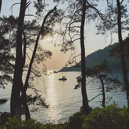 酒店 Kabak Uetopya Kamp