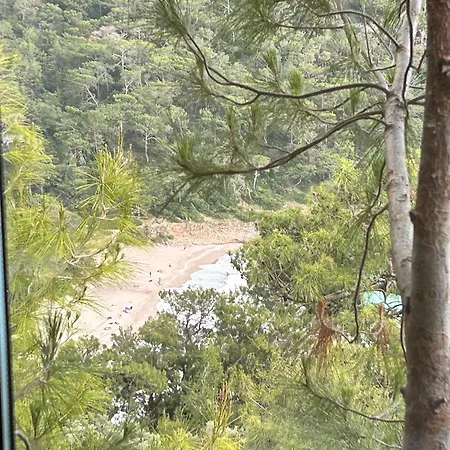 酒店 Kabak Uetopya Kamp *