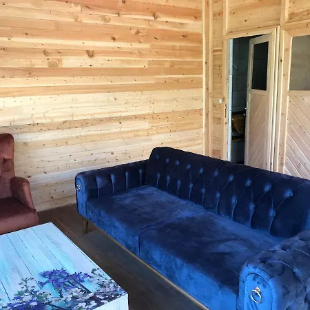 Отель Kabak Uetopya Kamp Фаралия