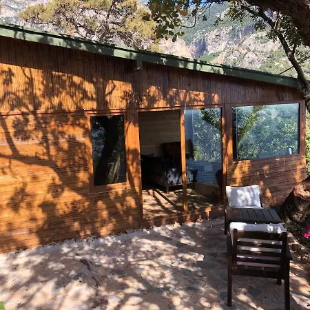 Отель Kabak Uetopya Kamp