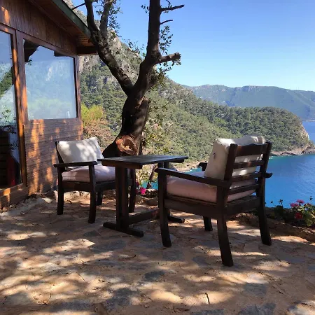 Kabak Uetopya Kamp Фаралия