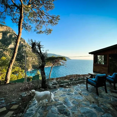 فندق Kabak Uetopya Kamp *