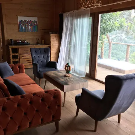 Отель Kabak Uetopya Kamp *