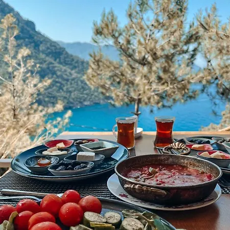 Отель Kabak Uetopya Kamp Фаралия