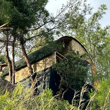 فندق Kabak Uetopya Kamp